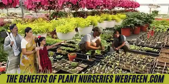 The Benefits Of Plant Nurseries Webfreen.com: A Comprehensive Guide